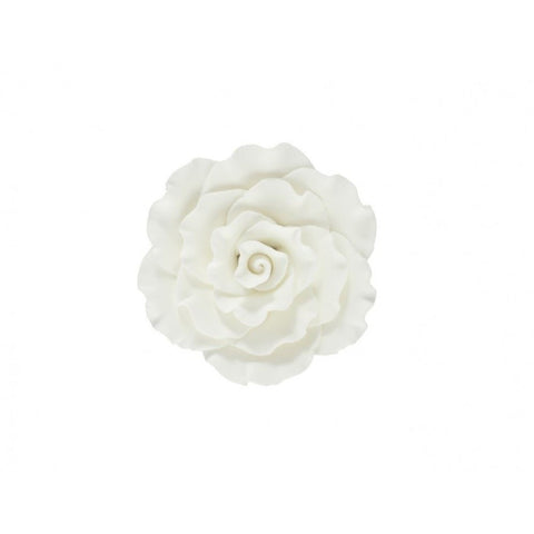 Formal XL Open White Rose 7.5cm - Limited Stock