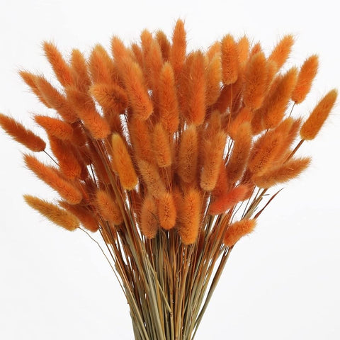 Orange Bunny Tails (Pack of 5)