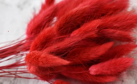 Red Bunny Tail (1pc)