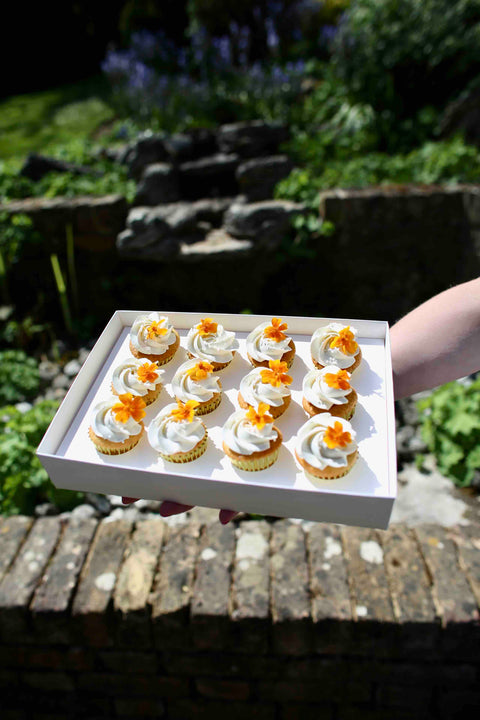 Olbaa 12 Deep Cupcake Box-White