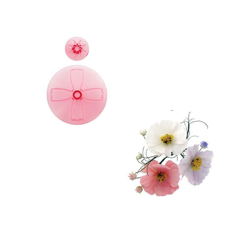 Cosmos and Calyx - Set of 2