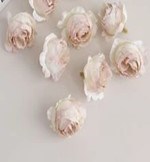 Nude blush medium peony head style flowers set of 2