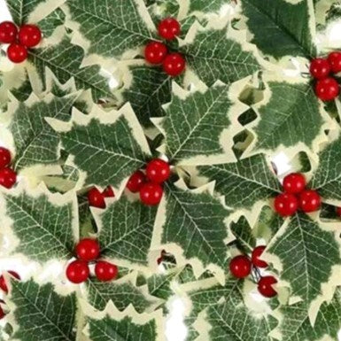 Paper Holly Leaves & Berries Large