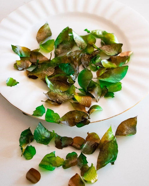 Crystal Candy Rose Petals - Assorted Leaves 10g