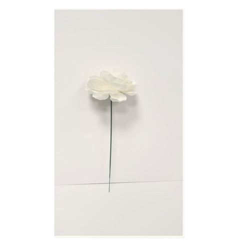 White  Peony