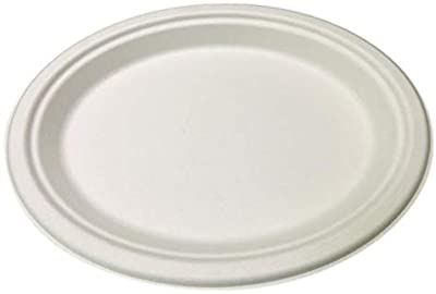 Bio Compostable 10.5" x 12" Oval Bagasse "Dosa / Pizza" Plates 1x50